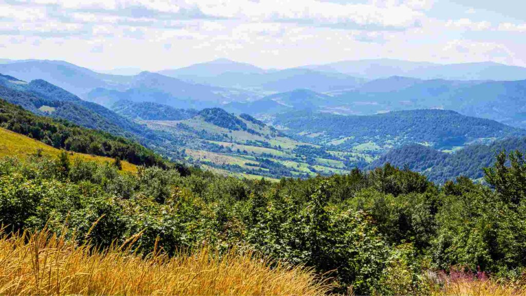 bieszczady widok volf camp