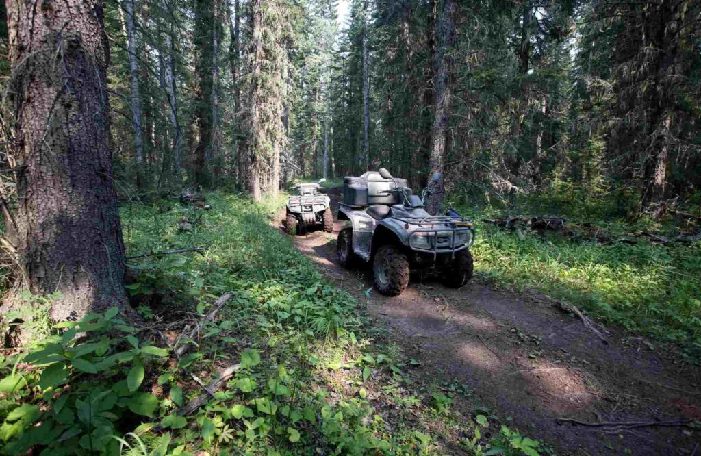 Imprezy integracyjne podkarpackie