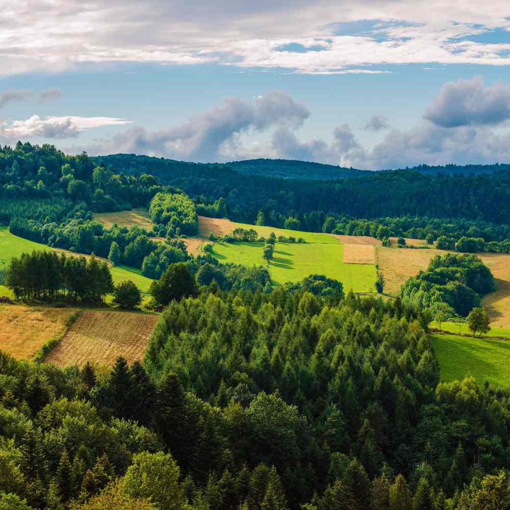 Wielkanoc w Bieszczadach