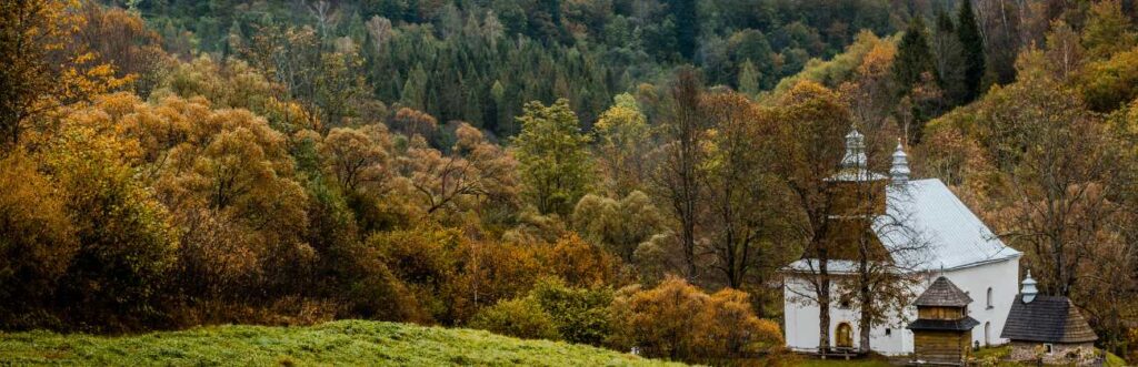 porady bieszczady volf camp