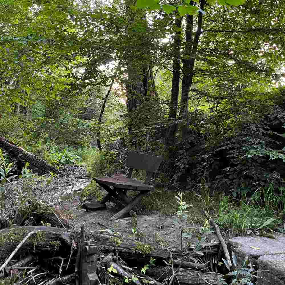 noleg bieszczady volf camp