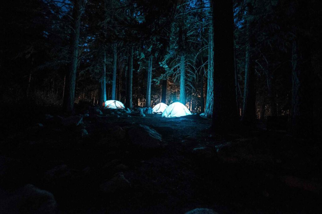 survival volf camp bieszczady